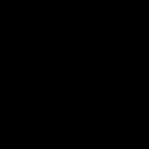 Meet your Posher, Elianne