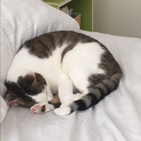 Meet your Posher, Faith