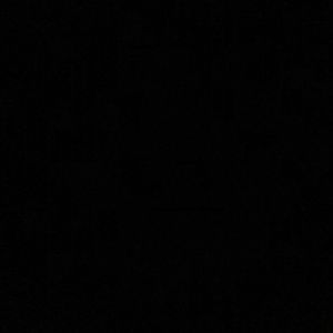 Meet your Posher, Lil