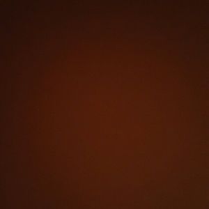 Meet your Posher, Zoe