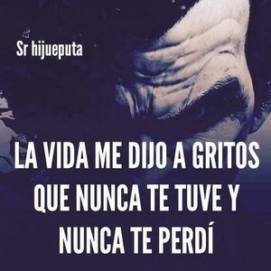 Meet your Posher, Ronald