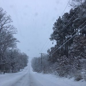 Meet your Posher, Carolina