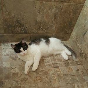 Meet your Posher, Erika