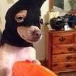 Meet your Posher, Xavier