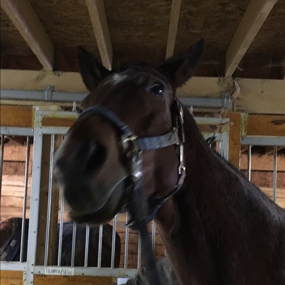 Meet your Posher, Elena