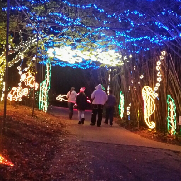 Meet your Posher, Paula - Picture 1 of 1