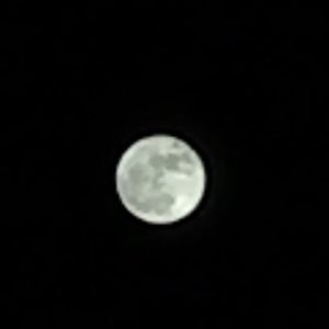 Meet your Posher, Aziz