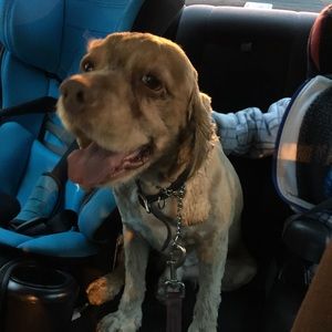 Meet your Posher, Denise