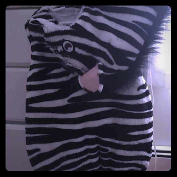 KIDS Pottery Barn Zebra Costume