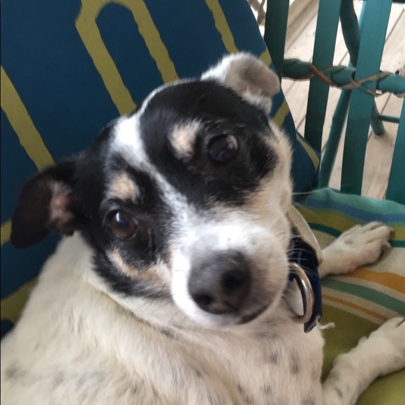 Meet your Posher, Chelsea - Picture 1 of 1