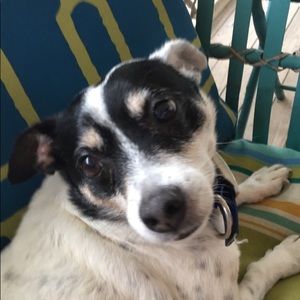 Meet your Posher, Chelsea