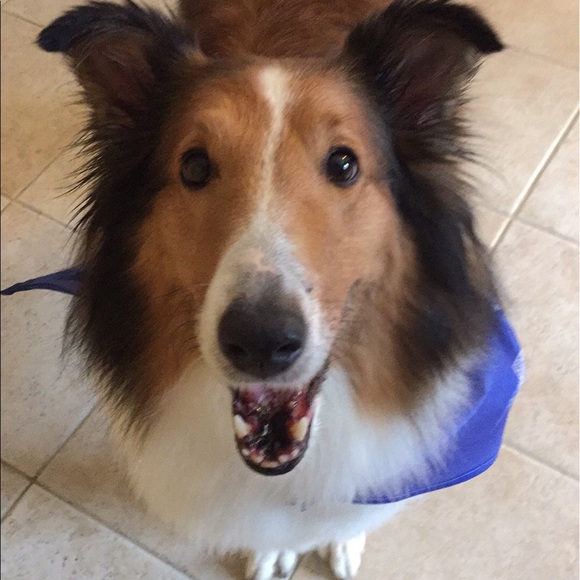 Meet your Posher, Ashley - Picture 3 of 5