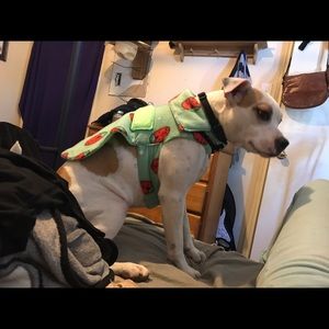 Meet your Posher, Elissa