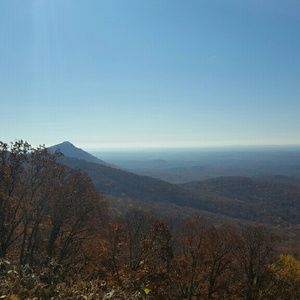 Meet your Posher, Cayli