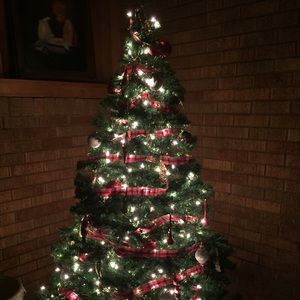 Meet your Posher, Abigail