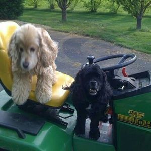 Meet your Posher, Janel