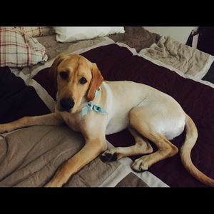 Meet your Posher, Hunter