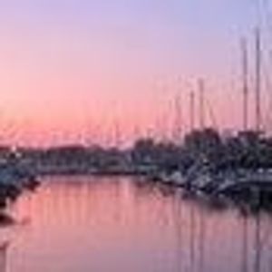 Meet your Posher, Annie