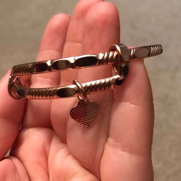 Alex and Ani America the beautiful limited edition