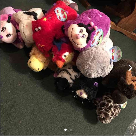 Pillow pets.