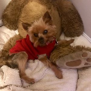 Meet your Posher, Dana