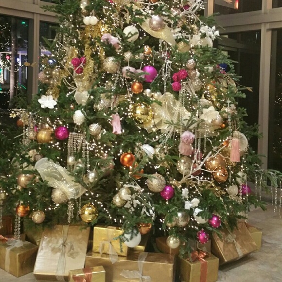 Meet your Posher, Luisa