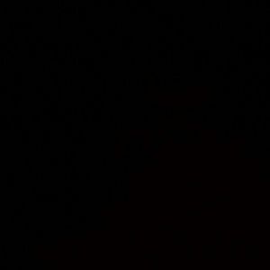 Meet your Posher, Macy