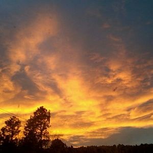 Meet your Posher, Cole