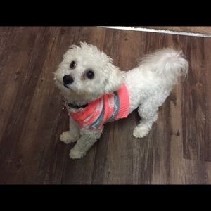 Meet your Posher, Becki