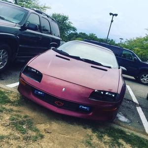 Meet your Posher, Trevor