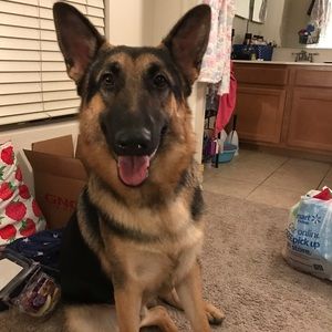 Meet your Posher, Wantong