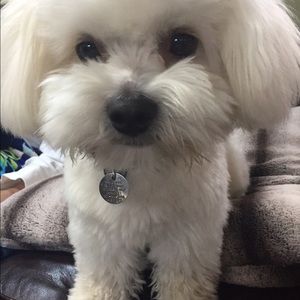 Meet your Posher, Claudia