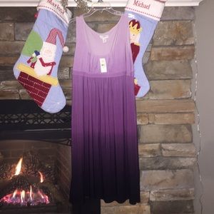 Ann Taylor Loft Dress