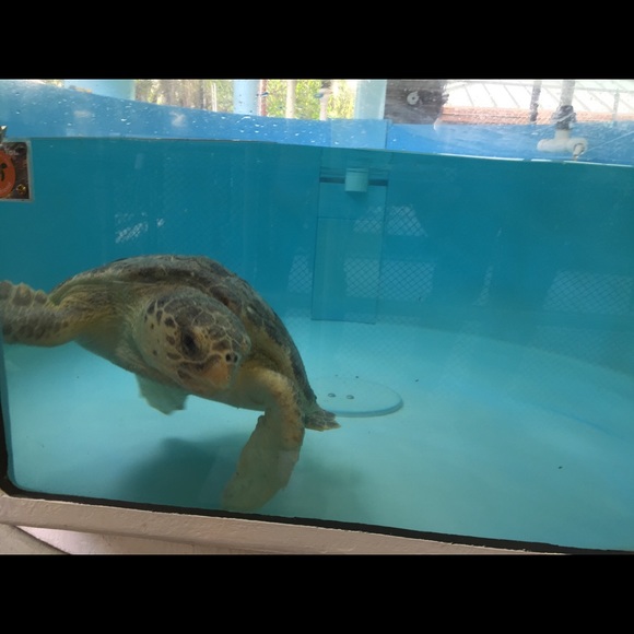 Welcome - Picture 3 of 5