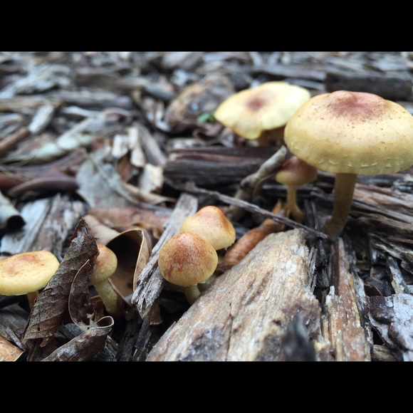 Welcome - Picture 4 of 5