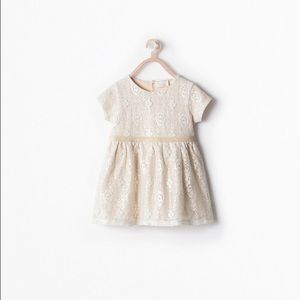 Zara Lace Dress