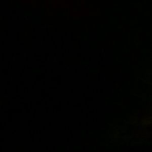 Meet your Posher, Sonya