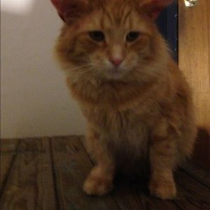 Meet your Posher, Timothy