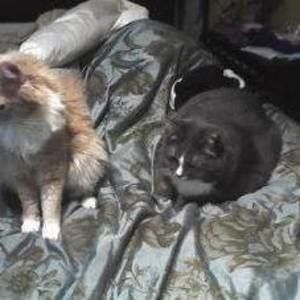 Meet your Posher, Katherine