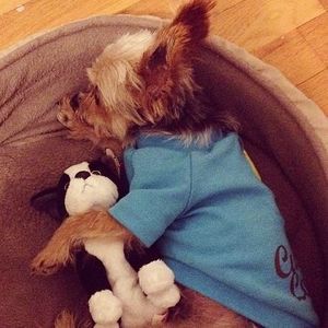 Meet your Posher, Mia