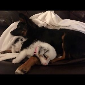 Meet your Posher, Emily