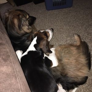 Meet your Posher, Barbara