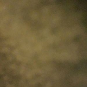 Meet your Posher, Jade