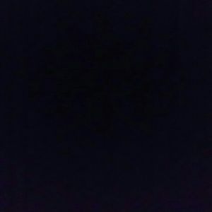 Meet your Posher, Gary