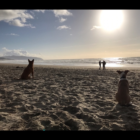 Meet your Posher, Carly