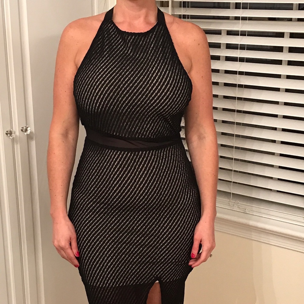 Alice and Olivia mesh long dress
