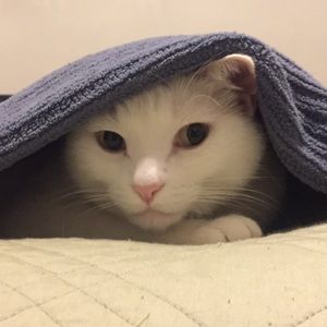 Meet your Posher, Heather