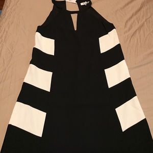 Parker Black and White Dress