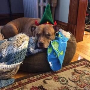 Meet your Posher, Jen