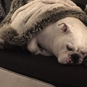 Meet your Posher, Stacey